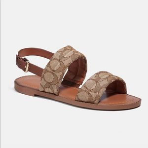 Coach | Shoes | Coach Hope Sandal | Poshmark